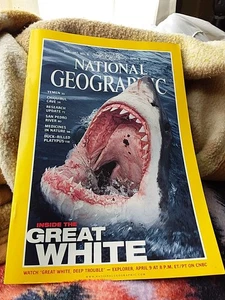 National Geographic Magazine  April 2000  Inside the Great White, Deep Trouble - Picture 1 of 8