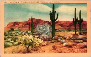 Vintage Leinen Postkarte Kaktus in der Wüste am Red Rock Canyon Kalifornien 898 - Bild 1 von 2