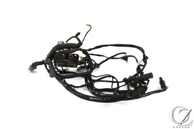Harley Softail Deuce 2003 03 FXSTDI arnés de cable principal telar EFI Foto 1 de 4