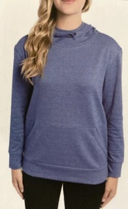 Champion Womens French Terry Pullover Hoodie Light Blue Striped Size Medium - Picture 1 of 10