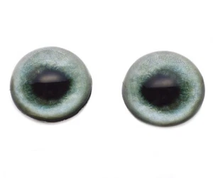 Pair High Dome Pale Green Weimaraner Dog Half Sphere Glass Eyes Taxidermy - Picture 1 of 5