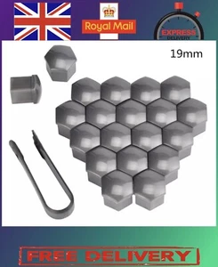 20 x 19mm Matt Grau Zierleiste Radmutter Schraubkappen Chrom + Auszieher - Bild 1 von 1