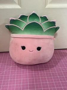Squishmallows Afiyah Succulent Plant Plush Stuffed Kellytoy 8" - Picture 1 of 4