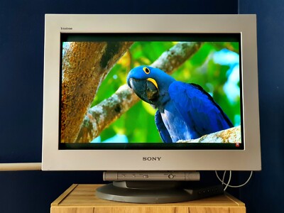 CRT Computer Monitors for sale | eBay