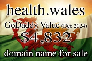 HEALTH.WALES Domain Name (incl. VAT) $4,832 GoDaddy Value - Picture 1 of 1