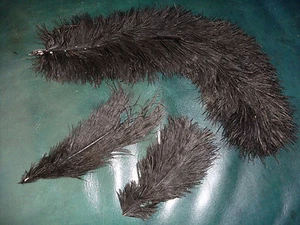 lot 3 plumes noires - une grande et deux petites  - Imagen 1 de 3
