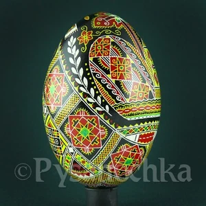 Real Ukrainian Pysanky. Goose Pysanka. Hand made Hutsul Easter Eggs Best Gift - Picture 1 of 12