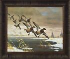 CANVAS BACKS by Les Kouba 20x24 Ducks Winter Lake Birds Flying FRAMED WALL ART