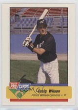1994 Fleer ProCards Minor League Craig Wilson #1931