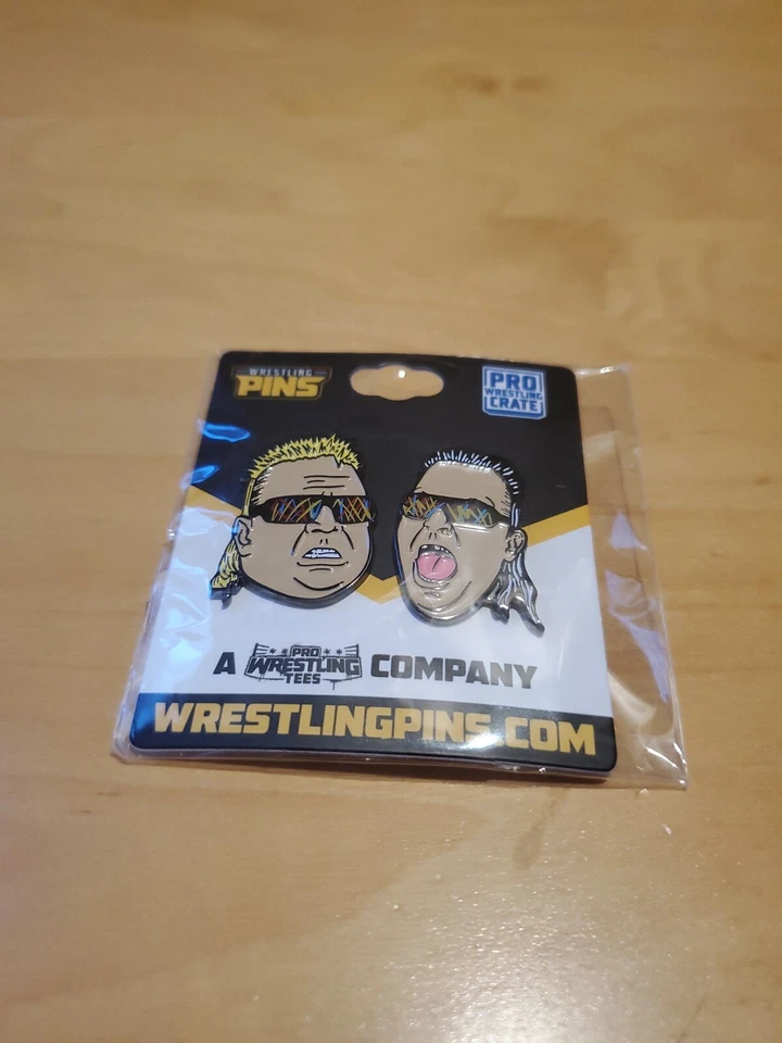 Pins Nasty Boys - Caja de lucha libre profesional agosto 2021 WCW Foto 1 de 1