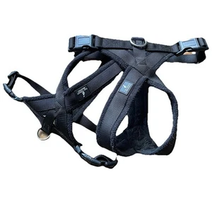 Whippet Puppy Coats/harnesses/collars - REDUCED AGAIN!! - Picture 1 of 4