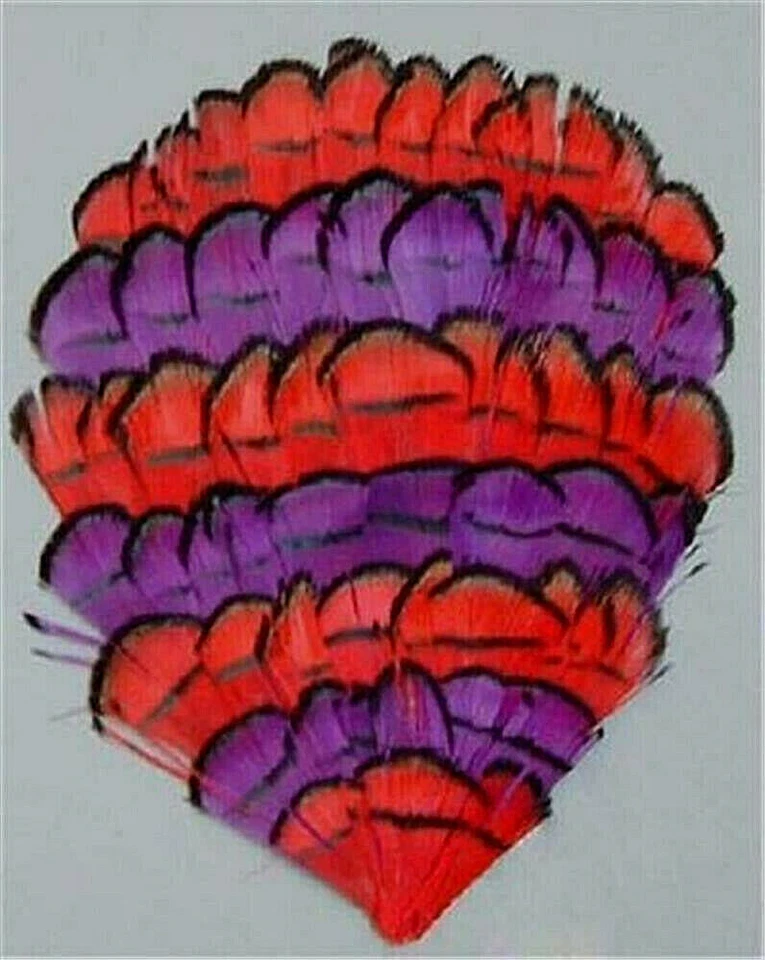 5 B Quality Red & Purple Lady Amherst Pheasant Feather Pads    US Seller - Image 1 of 1