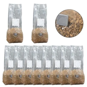 Cultivo sostenible de hongos 10 potentes bolsas de cultivo esterilizadas - Imagen 1 de 8