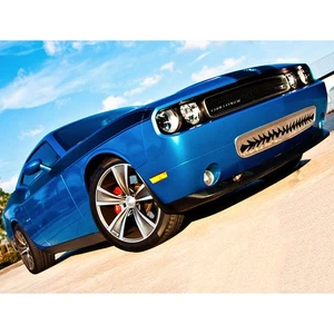 Lower Front Shark Tooth Grille Overlay for 2008-2010 Challenger SRT8 [Polished] - Bild 1 von 6