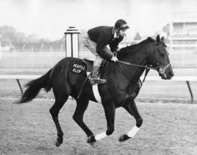 Seattle Slew Racehorse 3, Vintage KY Derby Races, B&W Photo Poster, Imagekind - Image 1 of 4