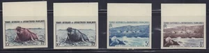 TERRITORIO ANTARTICO FRANCESE 1956 SC# 4-7 PROVE IMPERFORATE - Foto 1 di 6