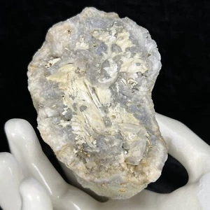 3-1/2" Geode Barite Selenite Gypsum Botryoidal Chalcedony Crystal Quartz Natural - Picture 1 of 9
