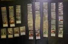 MTG - Zendikar – Green Lot – Over 150 Cards in total -
