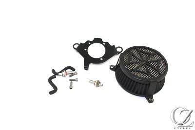 Sistema de admisión de aire cruzado Harley Dyna Fat Bob FXDF Cobra 20011 11 Foto 1 de 4