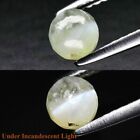 ★★   RARE !! CHRYSOBERYL OEIL DE CHAT DU SRI LANKA : 5 mm ★★ P243.134t