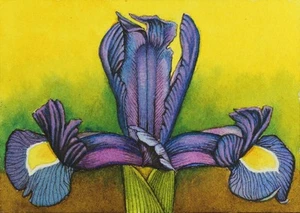 Purple Iris, Flower, ACEO Art Original,Watercolor/Ink, Signed, 2.5x3.5 In - Picture 1 of 2