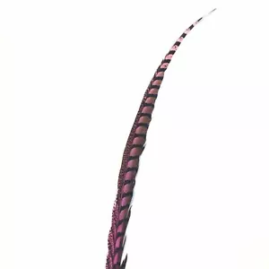 30" to 38" Lady Amherst Pheasant Side Tail Feather - Hot Pink ((SECONDS)) - Bild 1 von 3