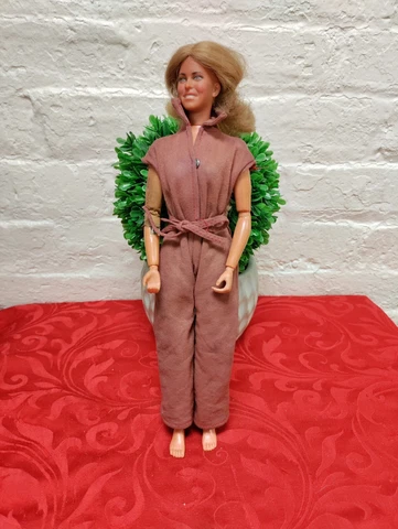 1976 General Mills Six Million Dollar Man Bionic Woman Action Figure Collectible Cover