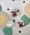 Smilling Pit Bull Golf Ball Marker/Hat Clip - New - FREE SHIPPING