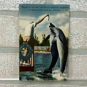 Islamorada, FL Florida Teatro del Mar Espectáculo de Marsopa Postal de Colección 1951 - Imagen 1 de 11