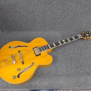 Guitarra Eléctrica Natural Completa Ibanez PM2-AA Usada con Estuche Rígido - Imagen 1 de 17