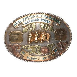 Harry Charters 14k/10k/Sterling Perry Luster Award Hayward, CA Rodeo Gürtelschnalle - Bild 1 von 8