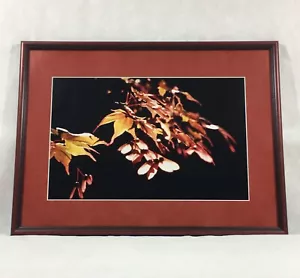 Follaje enmarcado de 17-3/8"" x 23-3/8"" hojas nocturnas estampado - Imagen 1 de 21