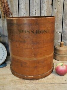 Rare 1870 Antique Tall Wood Dry Measure Pantry Box 13" AAFA