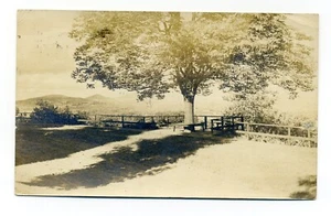 Sugar Hill NH Stempel, Baum mit Bank mit Blick auf Tal, RPPC Postkarte - Bild 1 von 2