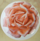 Cabinet Knob peach Rose Flowers @Pretty@