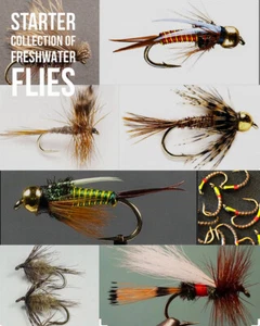 24 Premium Fresh water Fly Collection - Picture 1 of 1