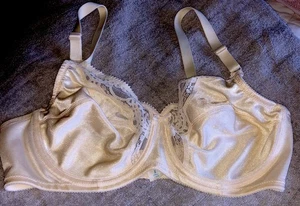 Vintage JC Penney Adonna Ivory Nylon Underwire Bra w/Lace NWOT SZ 36C. - Picture 1 of 7
