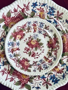 ANTIQUE Copeland SPODE’S ASTER Dinner & Dessert Plate Set 1927 - Picture 1 of 13