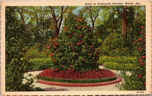 Szene in Bellingrath Gärten Rundweg Mobile ALABAMA LEINEN POSTKARTE D14 - Bild 1 von 2
