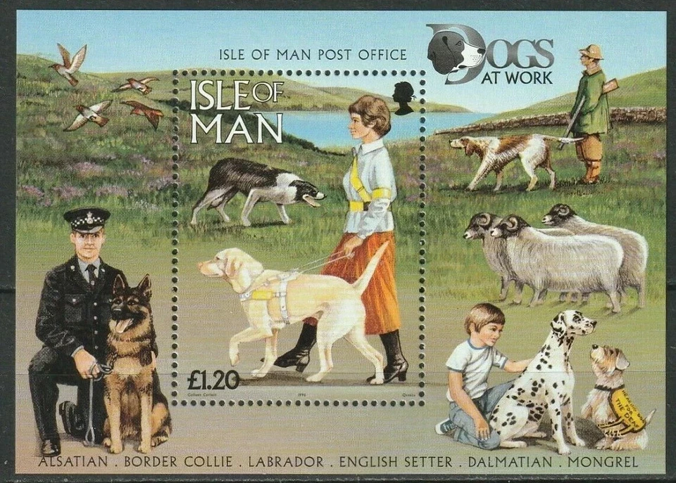 Isle Of Man 1996 ☀ Pets - Dogs MSS ☀ MNH (**) - Image 1 of 1