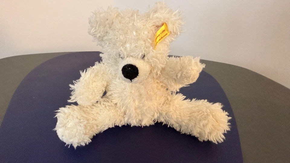 Steiff Bär Lotte 673351 Teddybär 17cm - Bild 1 von 4