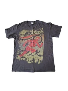 Vintage 2009 DC Comics The Flash Shirt Mens Large Gray - Picture 1 of 5