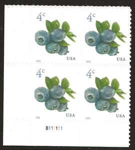 US Scott #5652, Plate Block #B111111 2022 Blueberries 4c VF MNH - Picture 1 of 1