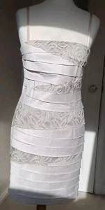 Rina Scimento Champagne Pleated Lace Wiggle Occassion Dress Size S - Picture 1 of 17