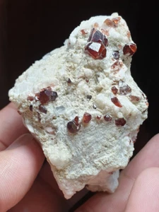 885 Carats Very Nice Luster Quality Garnet with Feldspar Matrix Specimen Afghan - Picture 1 of 6