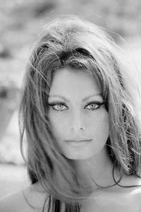 Sophia Loren 11.7x16.5 Photo Poster - Picture 1 of 1