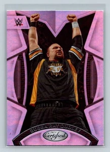 Tarjeta de lucha libre Bubba Ray Dudley #213 de Chronicles WWE 2023 NO ROSA - Imagen 1 de 2