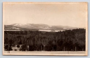 Postcard Beautiful Scenic View Snow Capped Mountains Beyond Row of Pine Trees - Picture 1 of 2