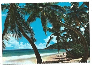 SEYCHELLES - ANSE INTENDANCE, MAHE Photo Eden Postcard - Foto 1 di 1