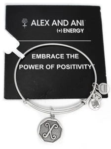 Alex und Ani NEU Monogramm Initiale X Armreif Armband & Pflegekarte Rafaelian Silber - Bild 1 von 2